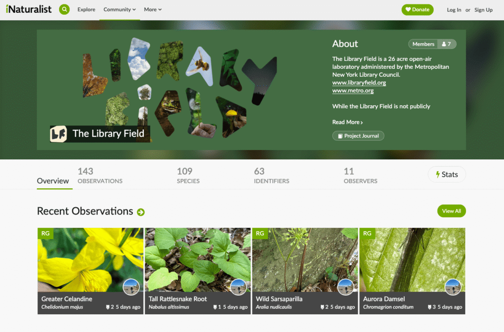 A screenshot of the iNaturalist project for this initiative, showing four recent observations. 